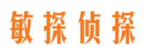 徐闻市侦探调查公司